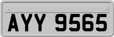 AYY9565