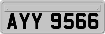 AYY9566