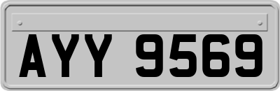AYY9569