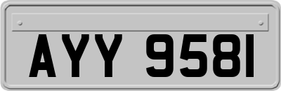 AYY9581