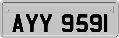 AYY9591