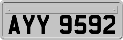 AYY9592