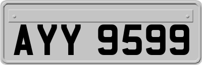 AYY9599
