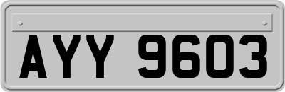 AYY9603