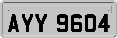 AYY9604