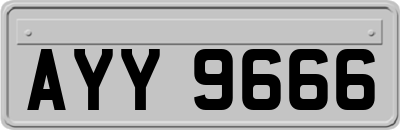 AYY9666