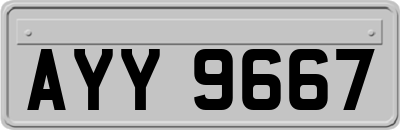 AYY9667