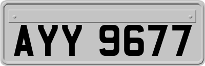 AYY9677