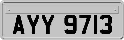 AYY9713