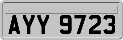 AYY9723