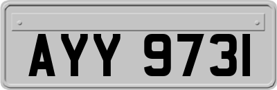 AYY9731