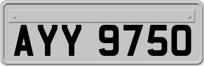 AYY9750