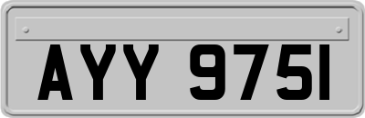AYY9751