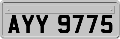 AYY9775
