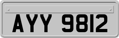 AYY9812