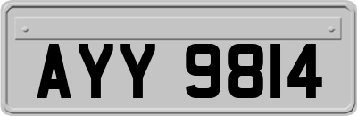 AYY9814
