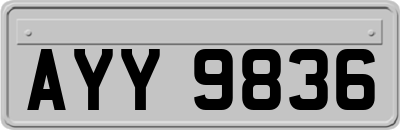 AYY9836