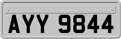 AYY9844