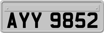 AYY9852