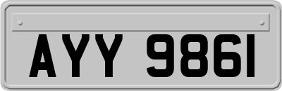 AYY9861