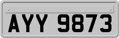 AYY9873
