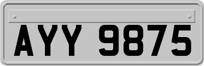 AYY9875