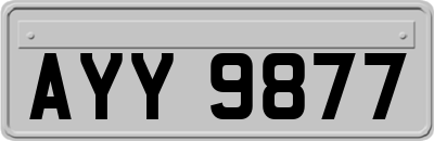 AYY9877