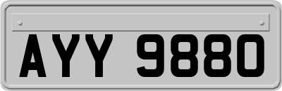 AYY9880