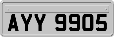 AYY9905
