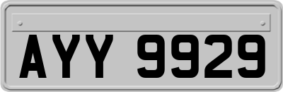 AYY9929