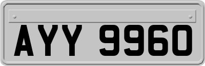 AYY9960