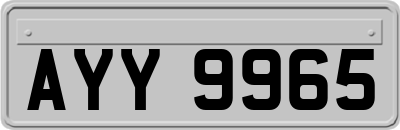 AYY9965