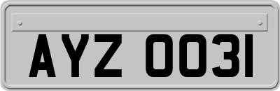 AYZ0031