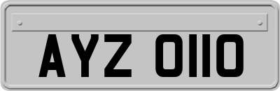 AYZ0110