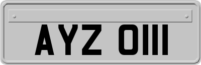 AYZ0111