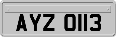 AYZ0113