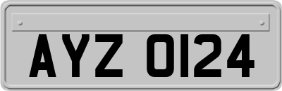 AYZ0124