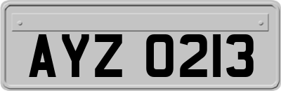 AYZ0213