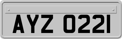 AYZ0221