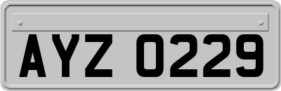 AYZ0229