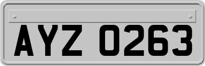 AYZ0263
