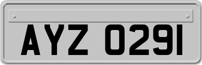 AYZ0291