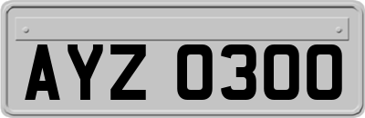 AYZ0300