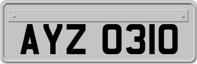 AYZ0310