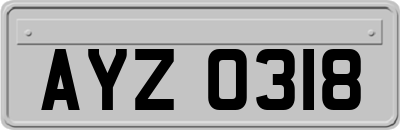 AYZ0318