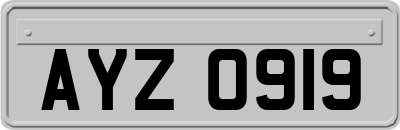 AYZ0919