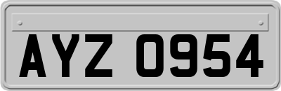 AYZ0954