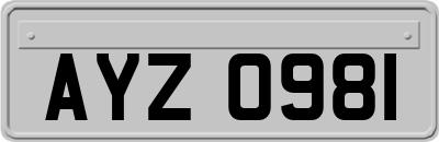 AYZ0981