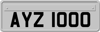 AYZ1000
