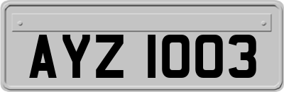 AYZ1003